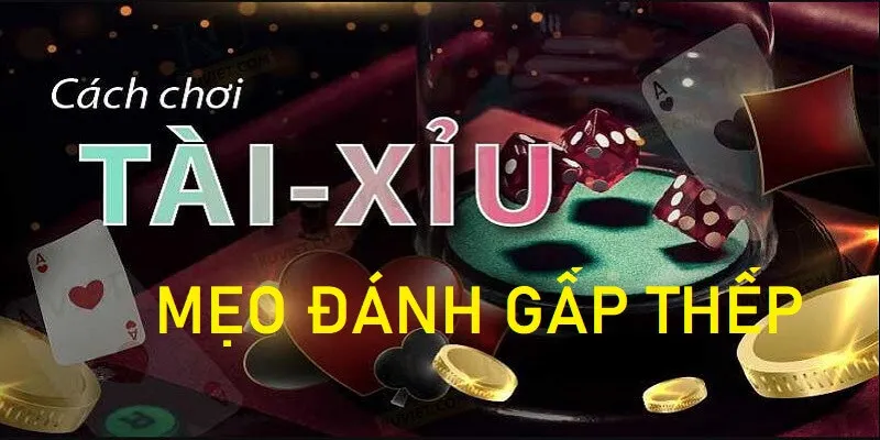 Bí kíp chơi gấp thếp cho tân binh 