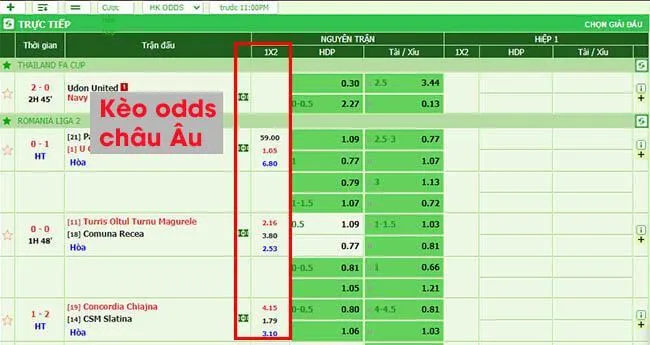 Fair Odds  là tỷ lệ lý thuyết còn Fixed Odds, Handicap và Odds sẽ do nhà cái cung cấp cho người chơi